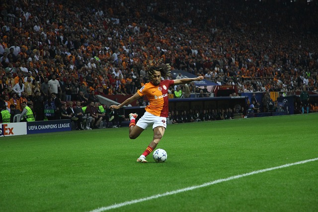 除了精彩的 除了精彩的